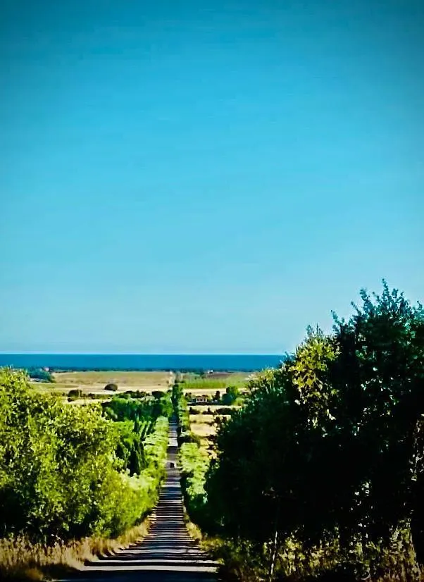 IL CASALE DEI GIRASOLI Country House in Capalbio