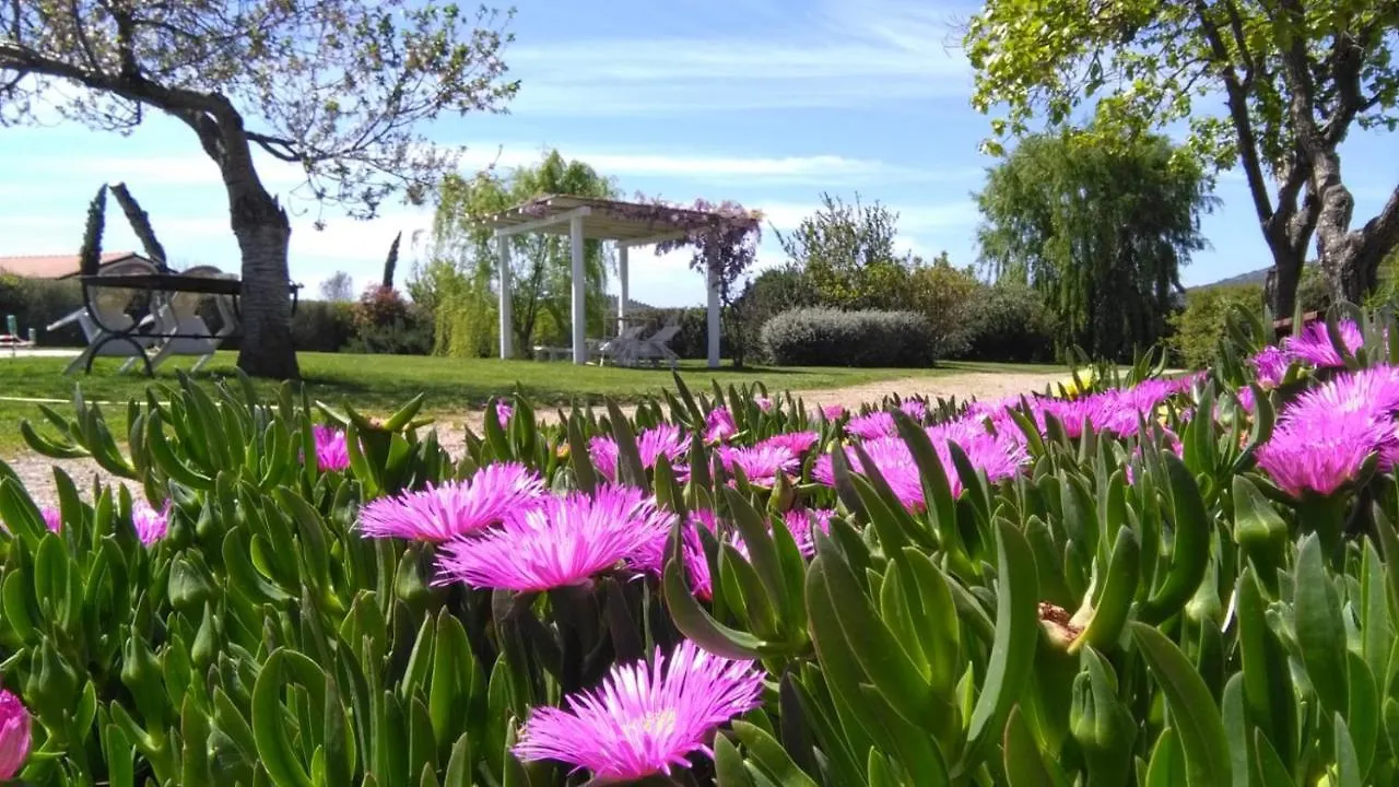IL CASALE DEI GIRASOLI Country House in Capalbio